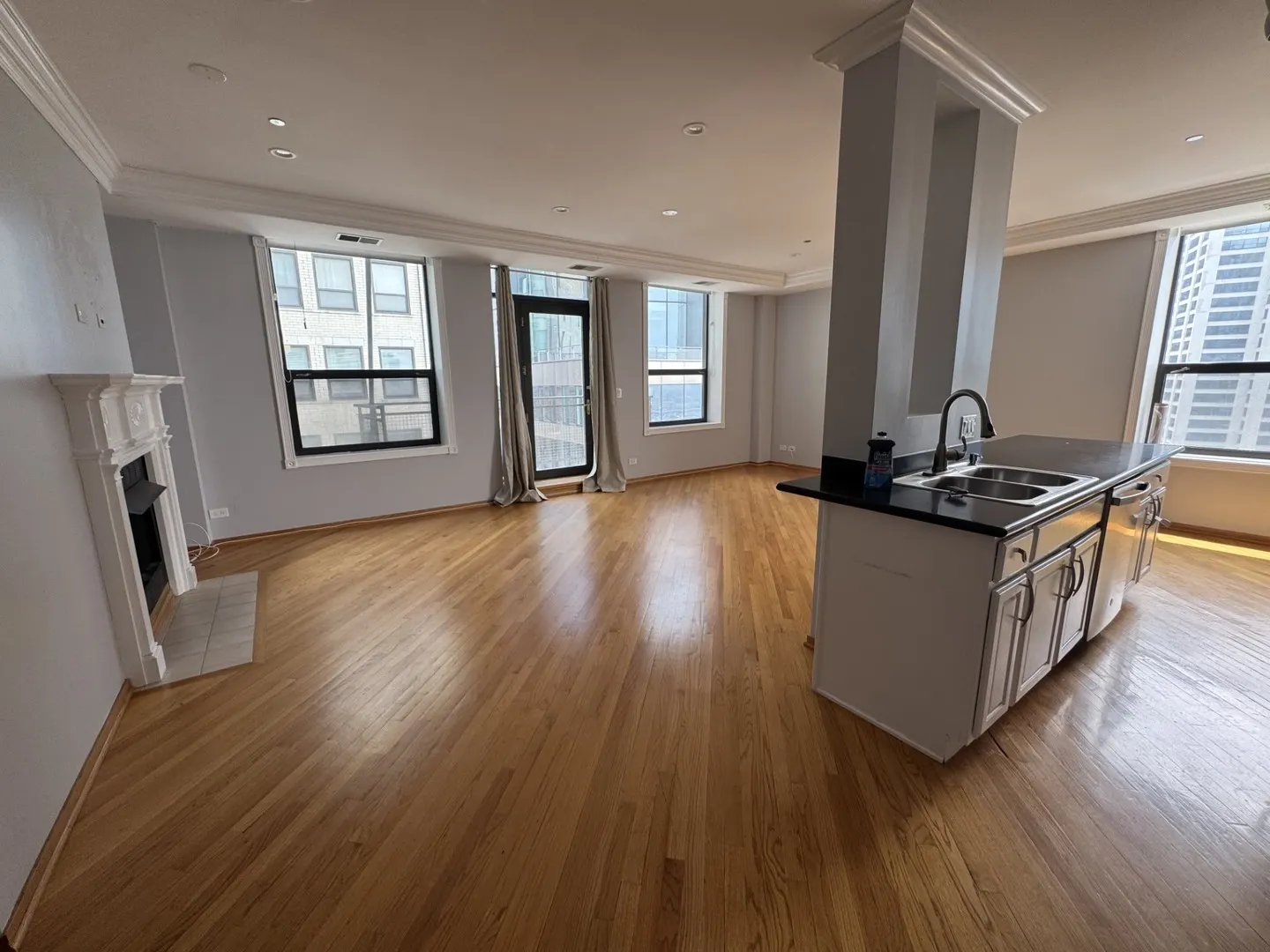 910 S Michigan Avenue IL #1615