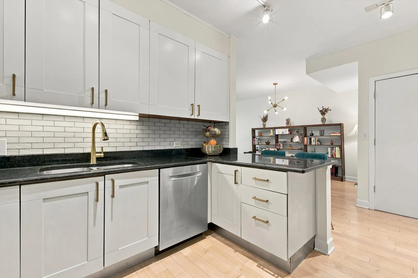 744 N Clark Street IL #301