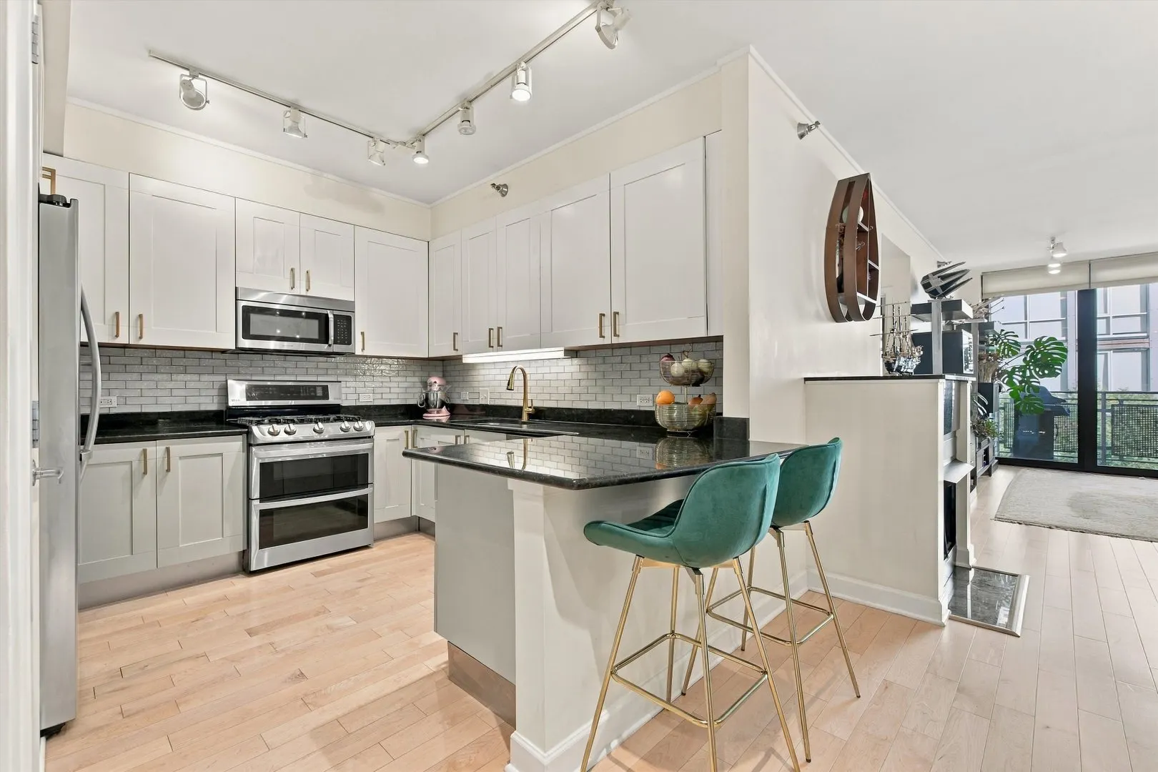 744 N Clark Street IL #301