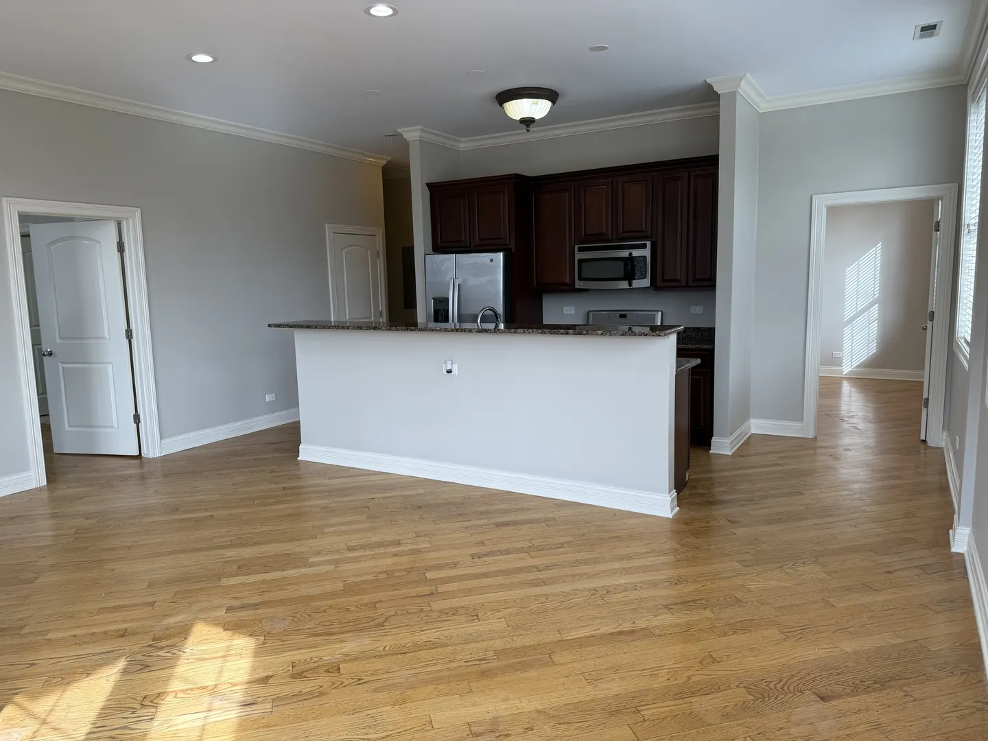 2338 W MORSE Avenue IL #4A