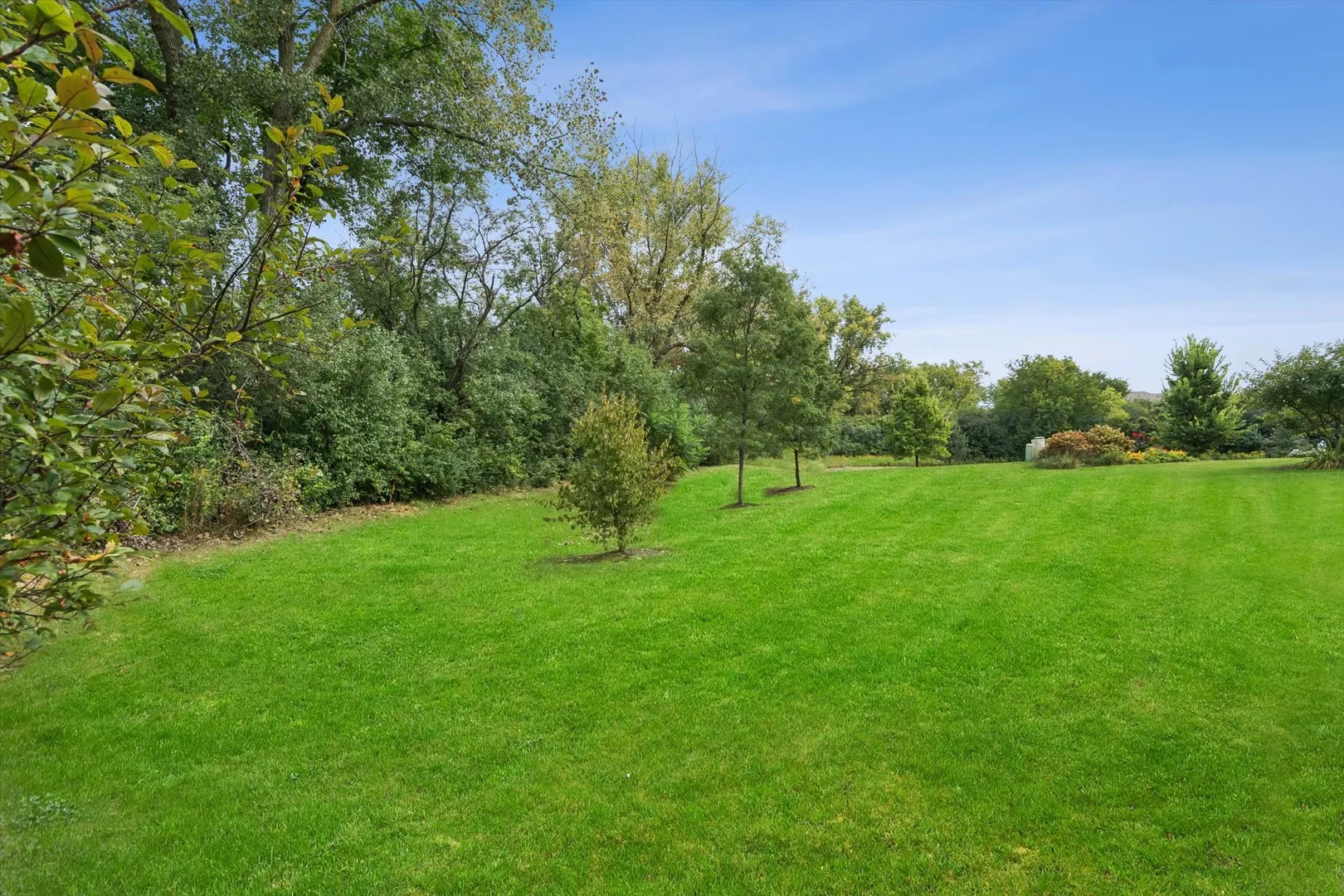 27W116 Redbud Lane IL