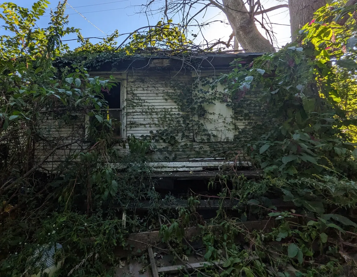 7829 S Marquette Avenue IL