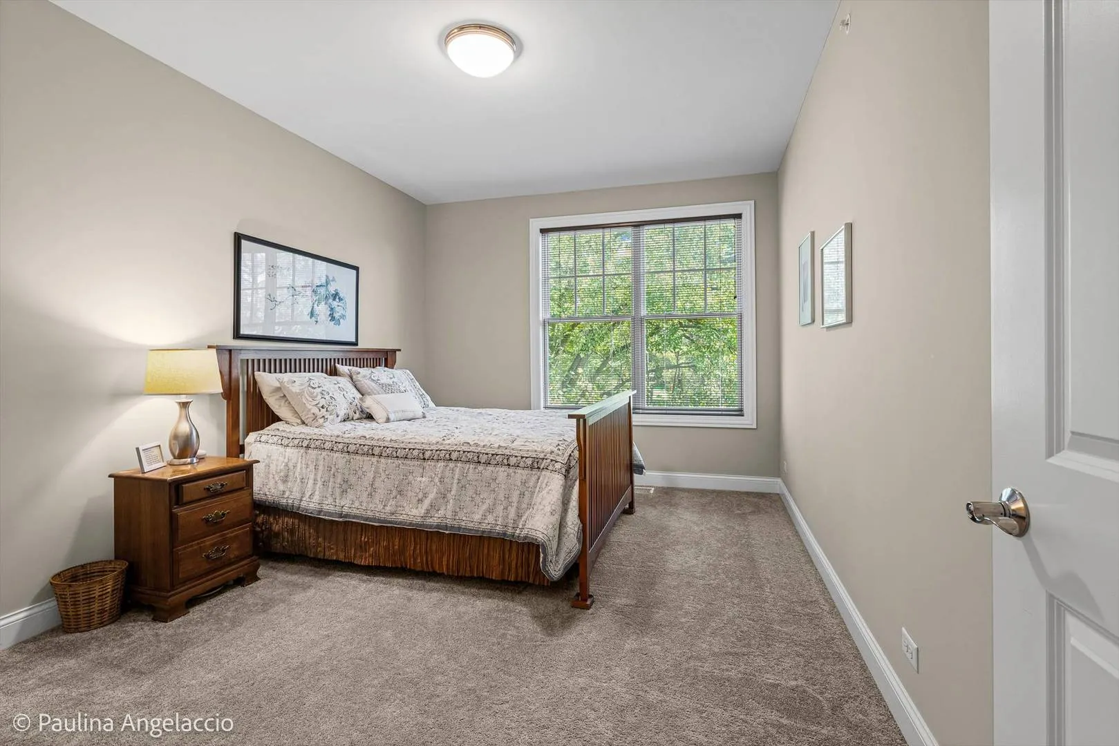 1681 Elderberry Court IL
