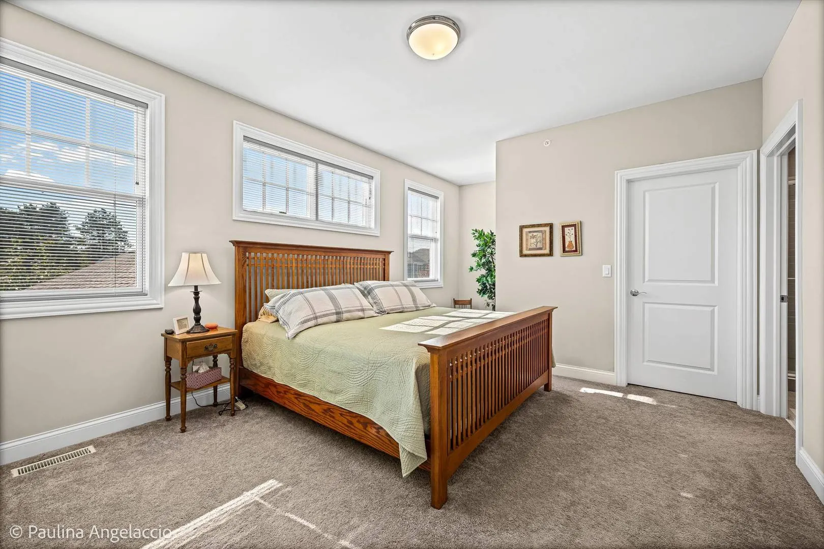 1681 Elderberry Court IL