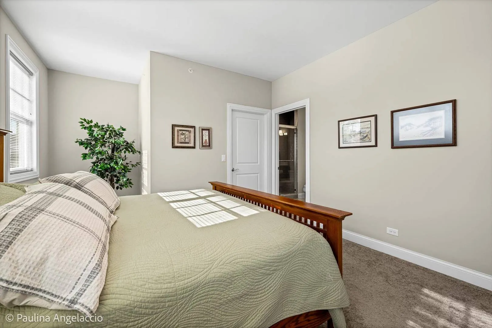 1681 Elderberry Court IL