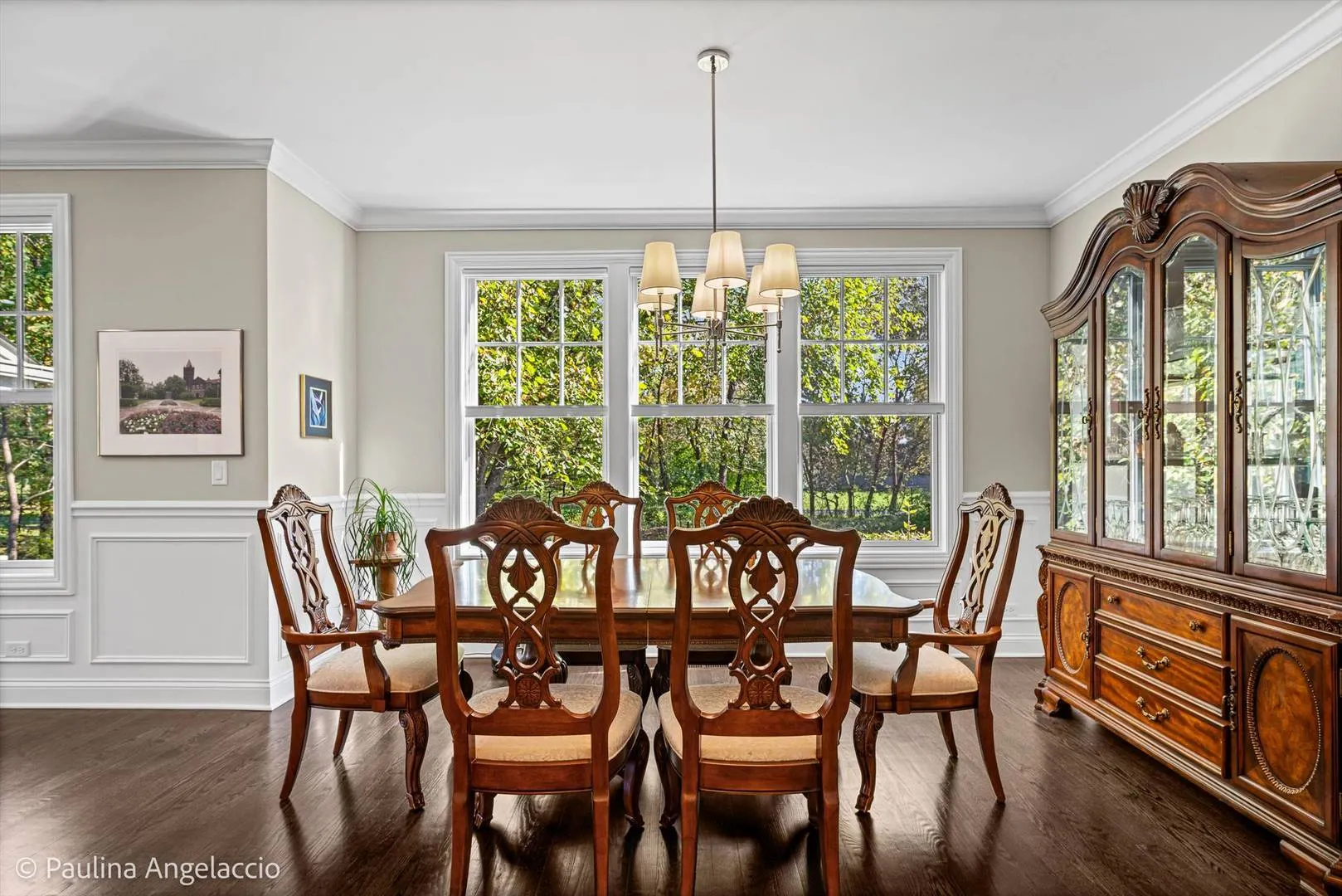 1681 Elderberry Court IL