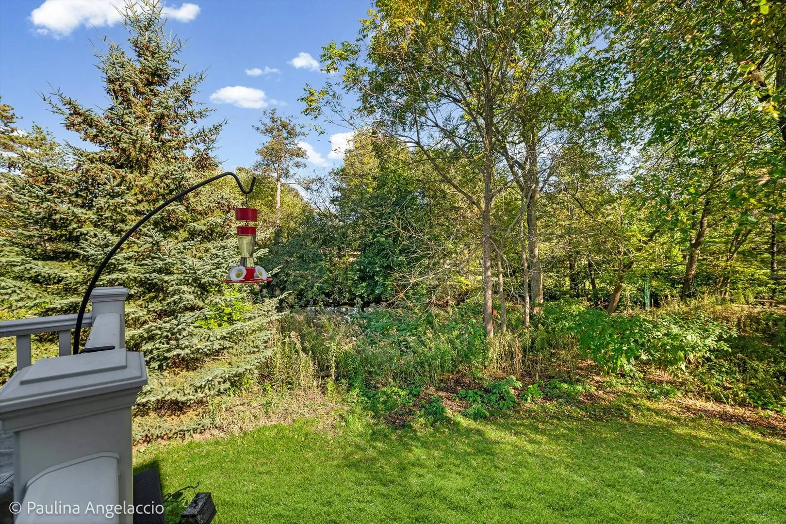 1681 Elderberry Court IL