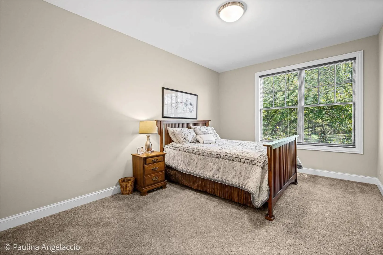 1681 Elderberry Court IL