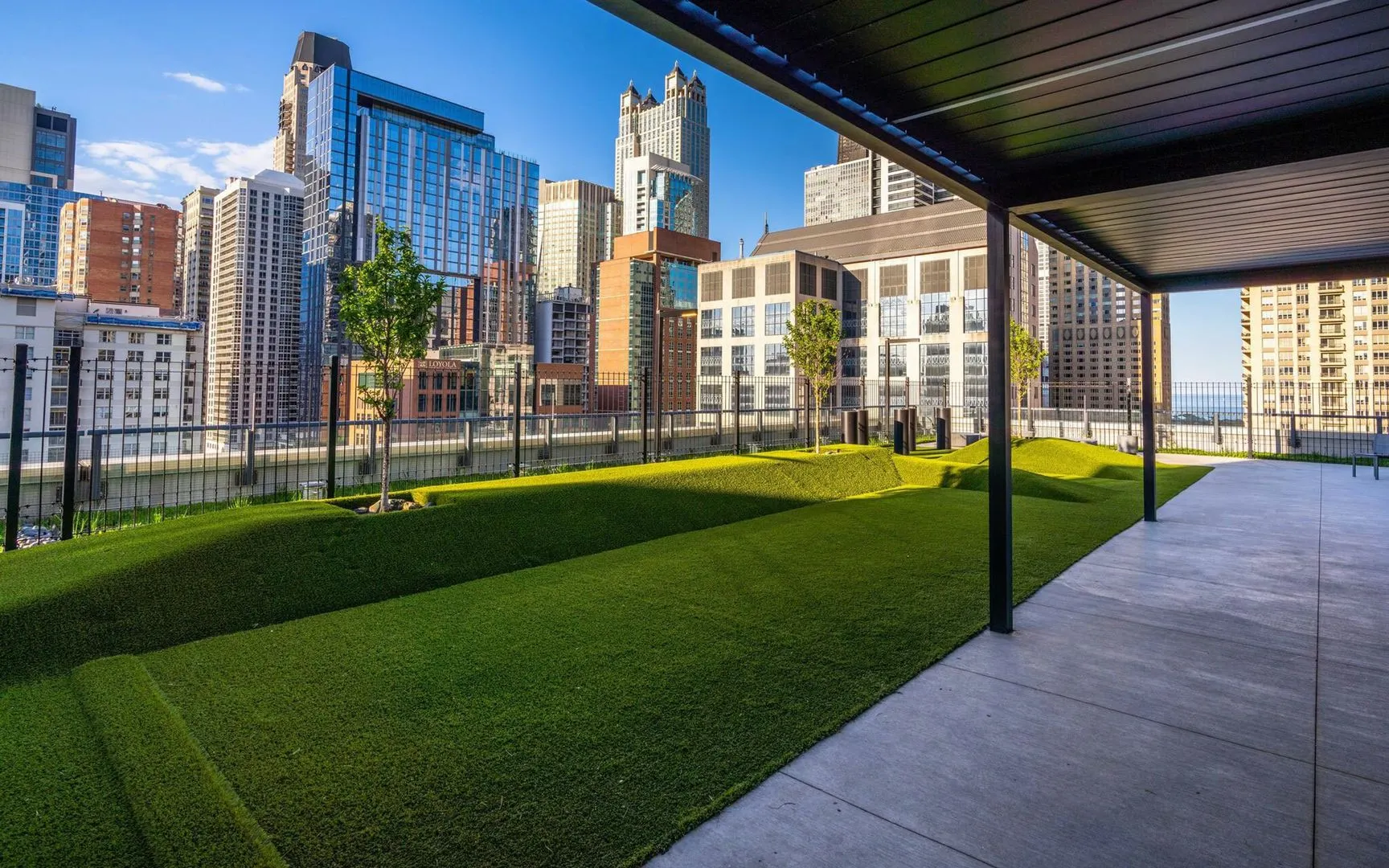 23 W Chicago Avenue IL #3401