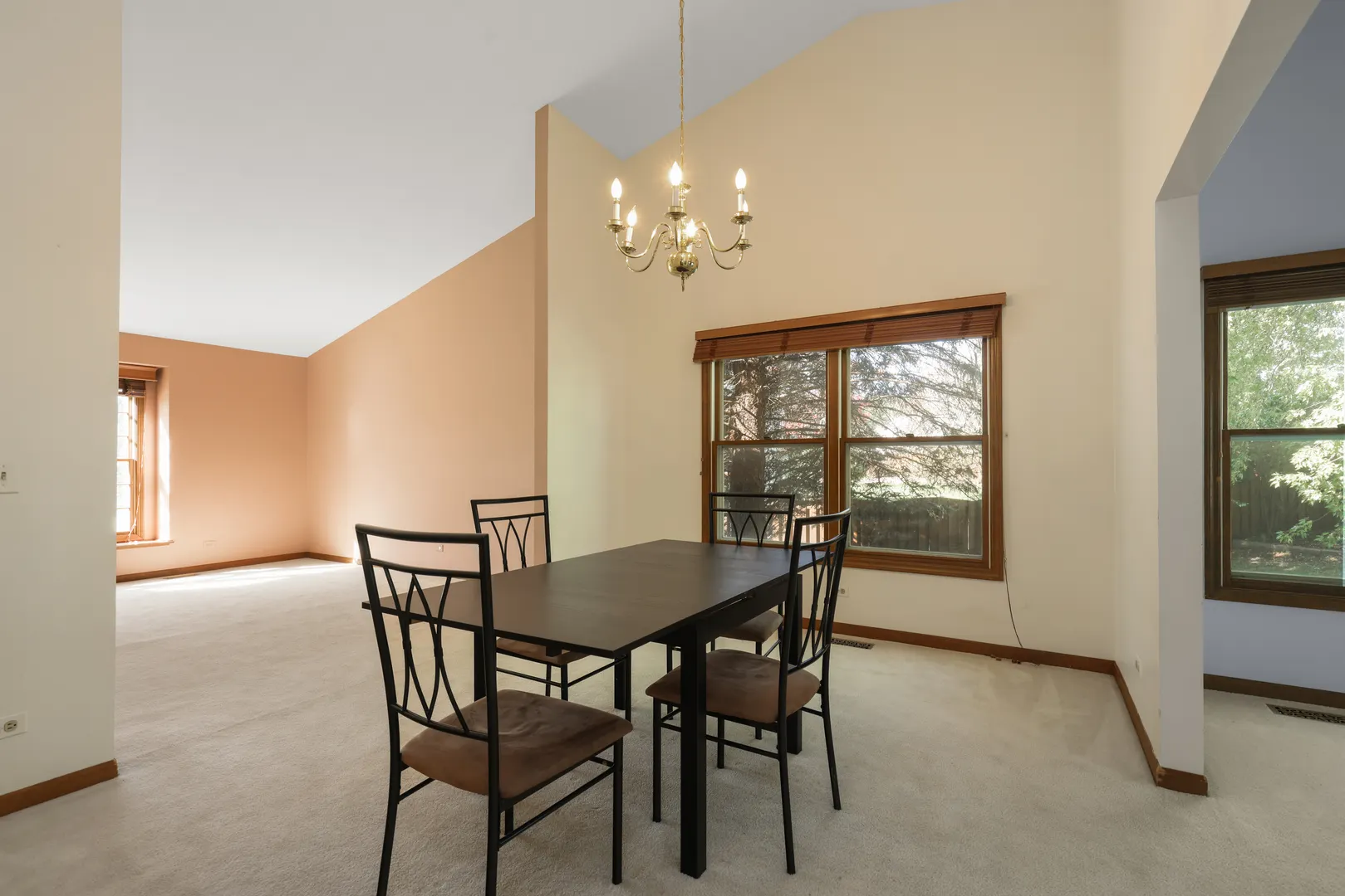 1173 N Clearwater Court IL