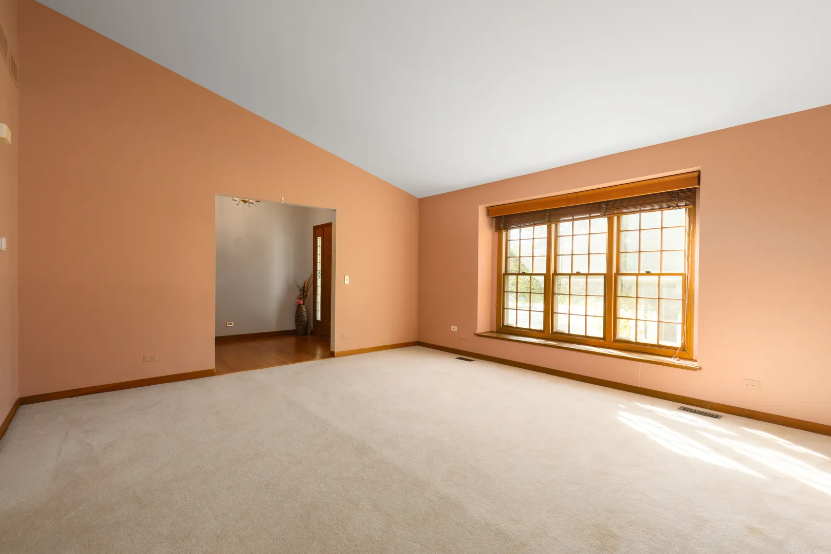 1173 N Clearwater Court IL