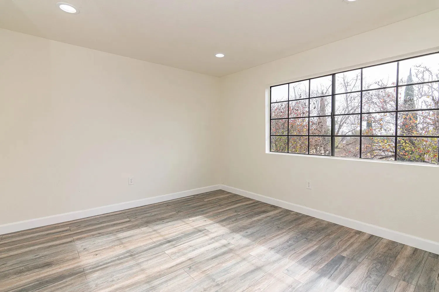659 Alexander Street CA #5