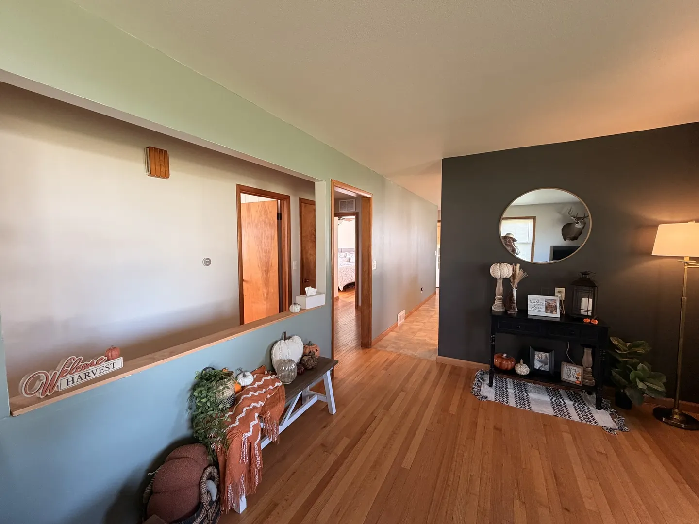 407 W Santee Street IL