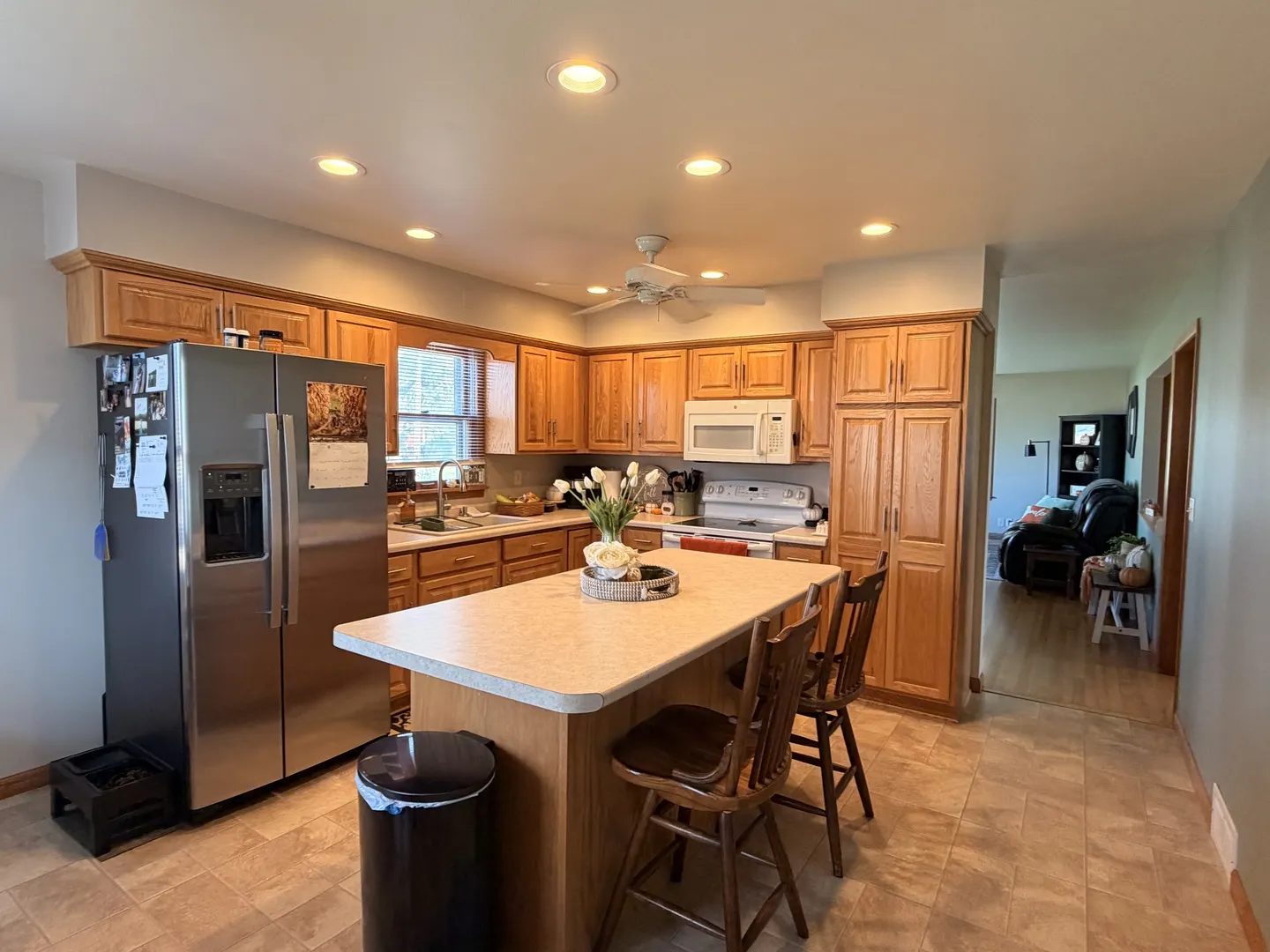 407 W Santee Street IL