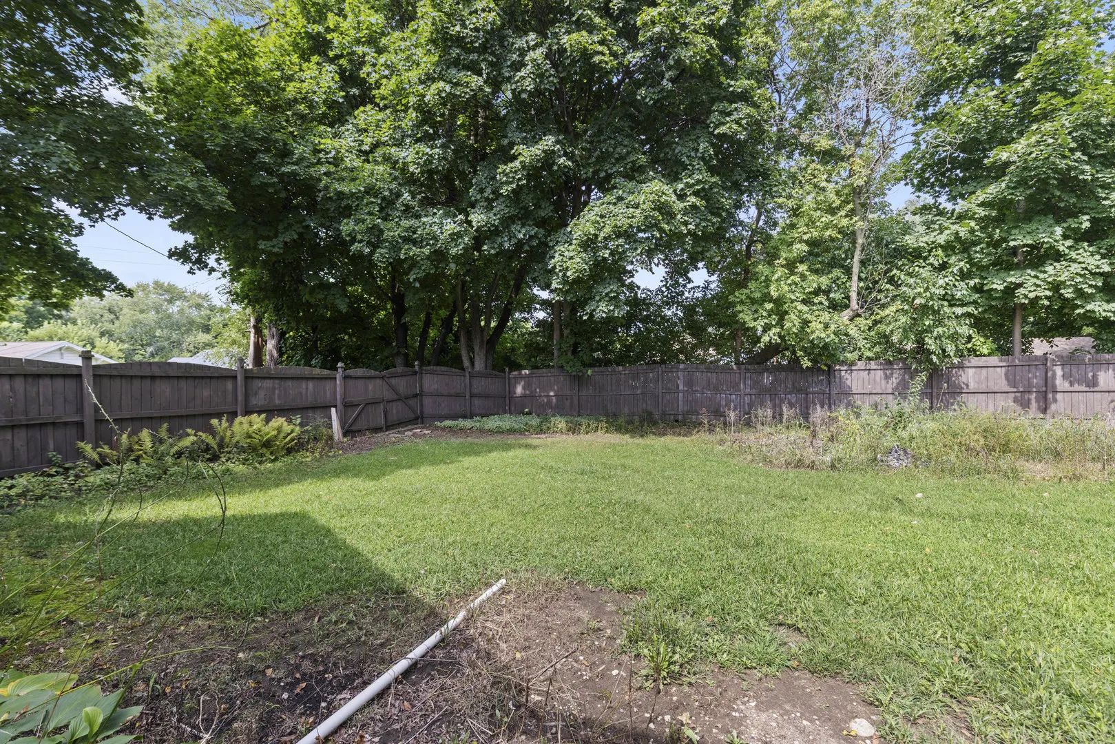 218 Euclid Avenue IL