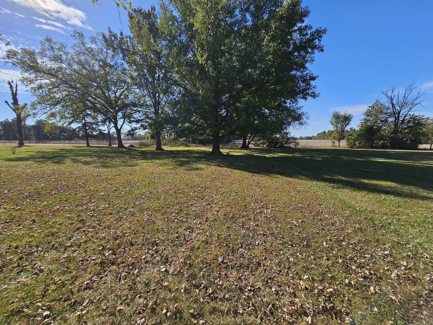 8757 N IL Hwy 148 IL