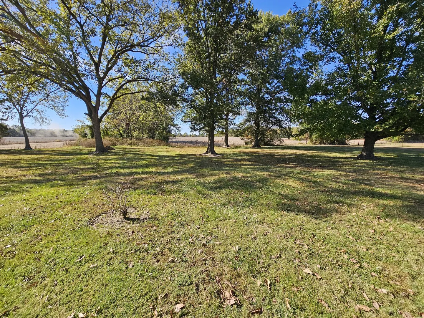 8757 N IL Hwy 148 IL