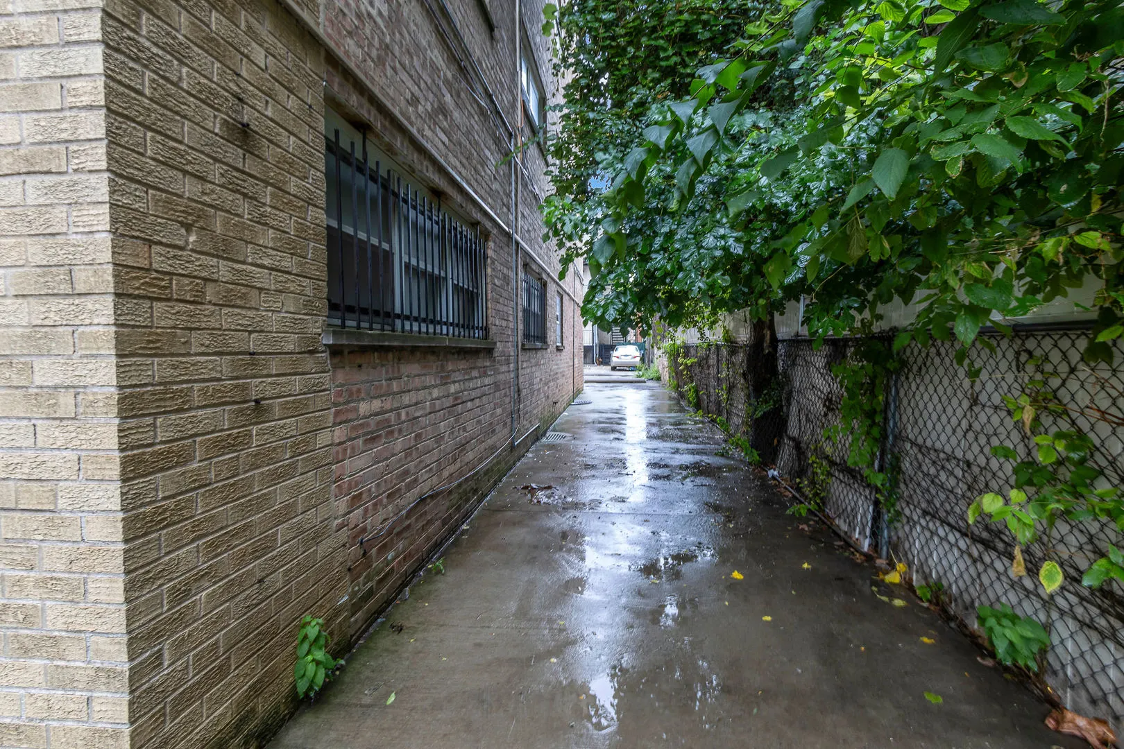 6414 N Mozart Street IL #3S
