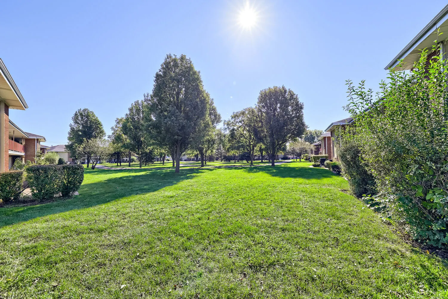 1101 E Algonquin Road IL #6