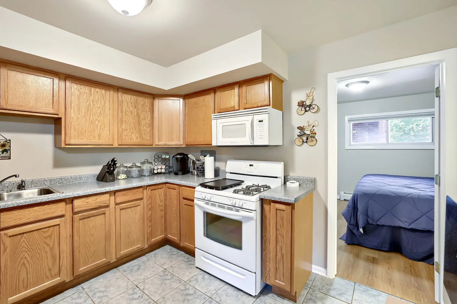 1101 E Algonquin Road IL #6