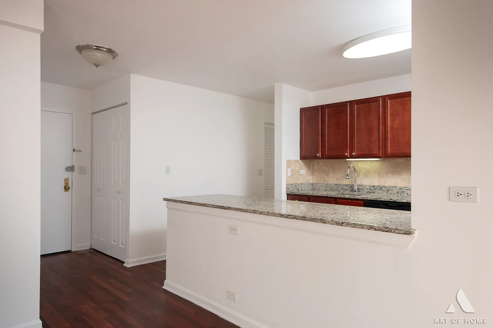 222 E PEARSON Street IL #1704