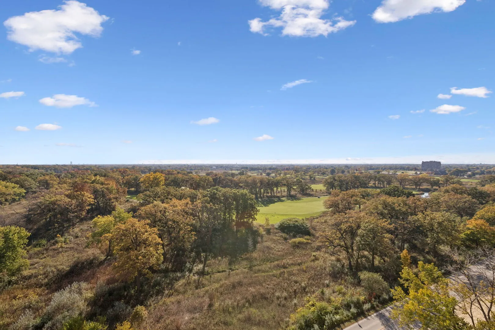 190 S Wood Dale Road IL #1105