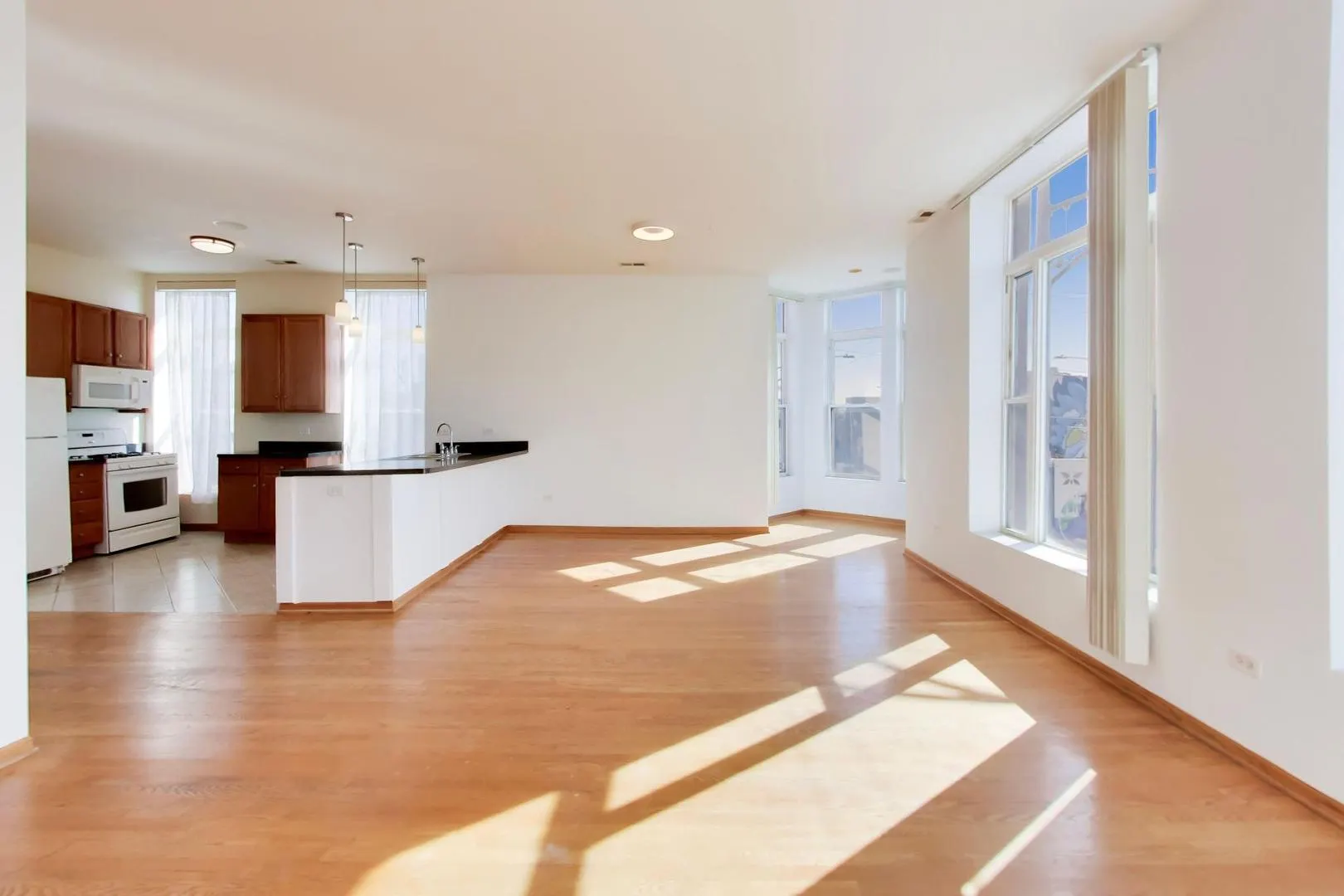 1700 W Cermak Road IL #2F