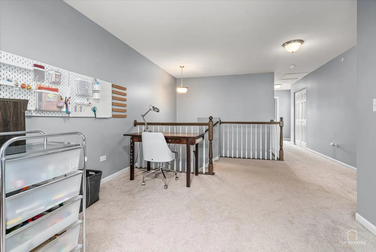 16214 W Switch Grass Road IL