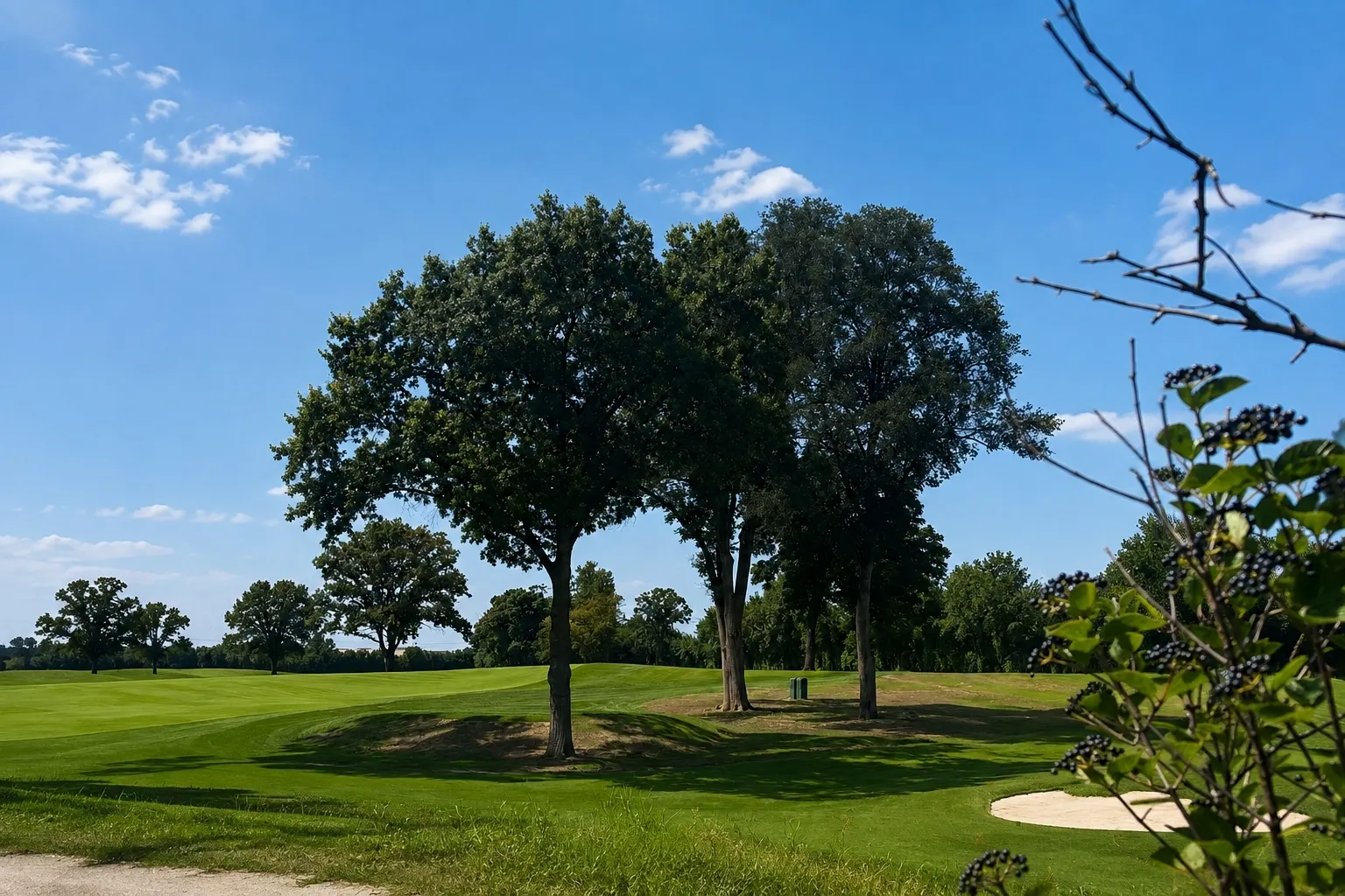 282 Stonegate Road IL