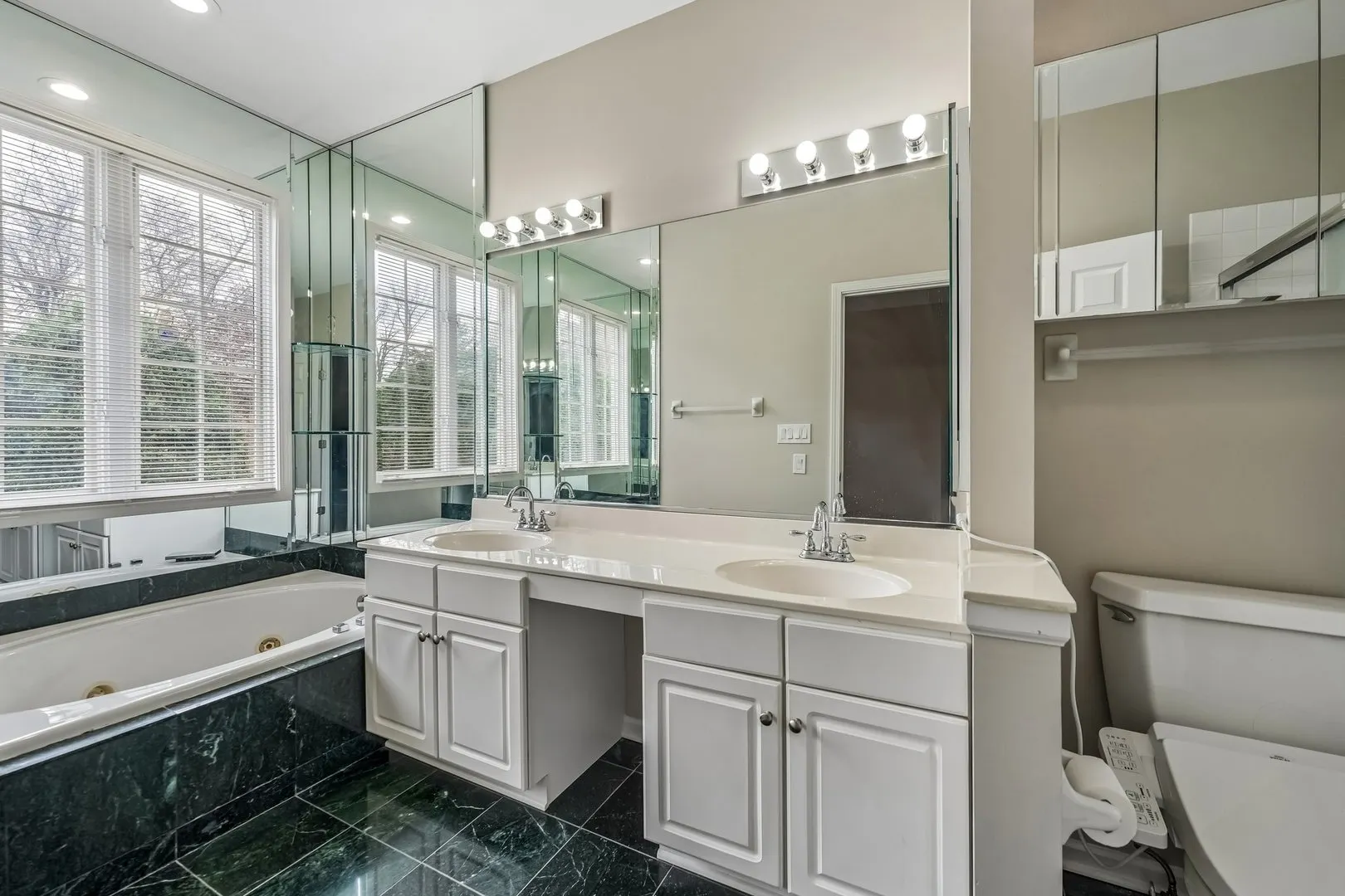 5 Middlesex Court IL