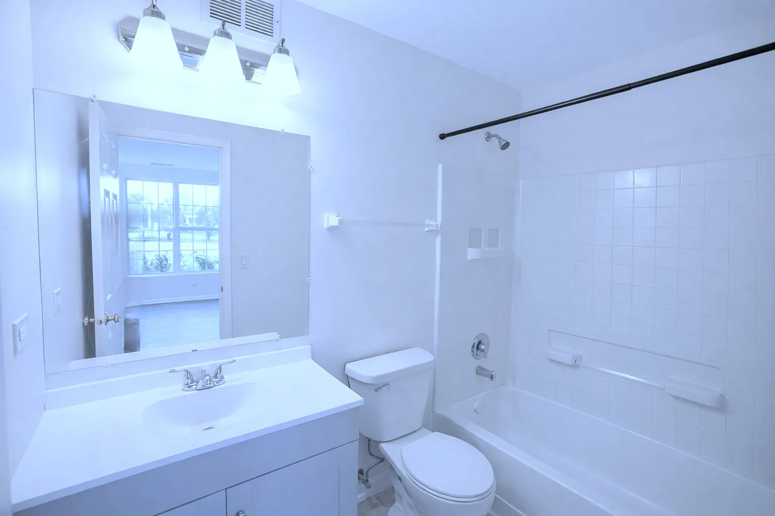 710 FOUR SEASONS Boulevard IL #710