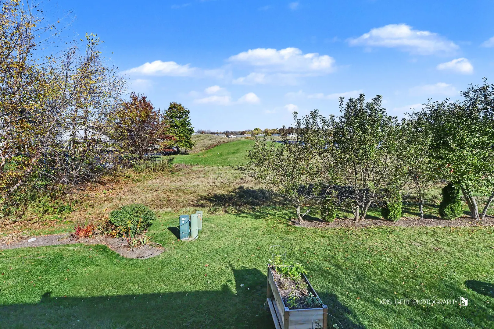 8510 Redbud Court IL