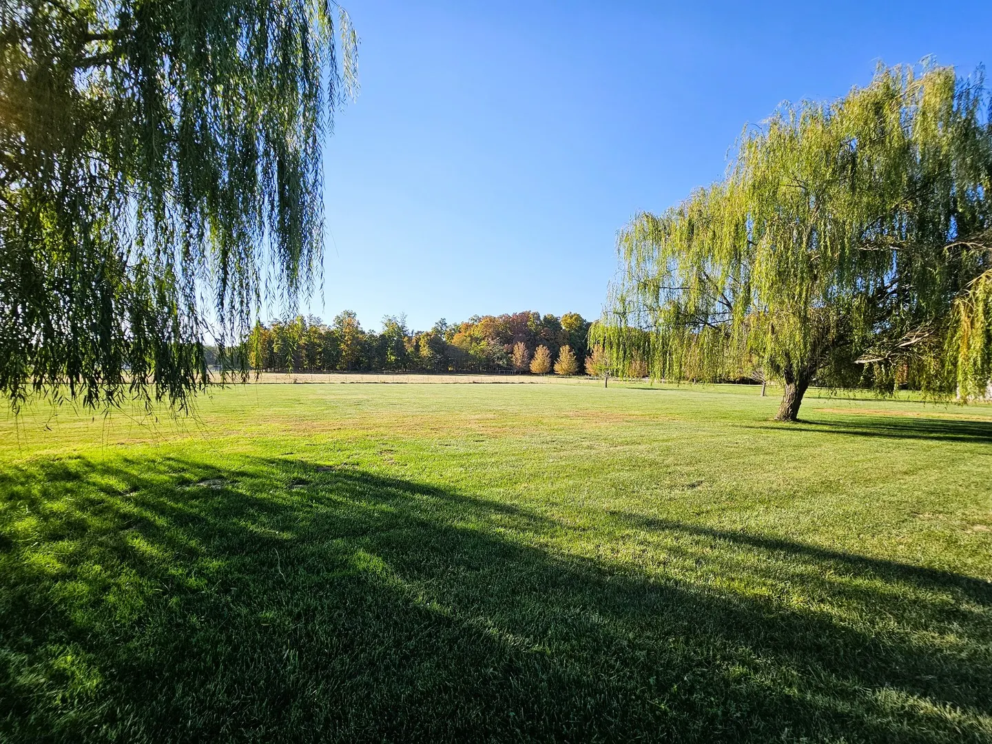 18121 N Jefferson Field Lane IL