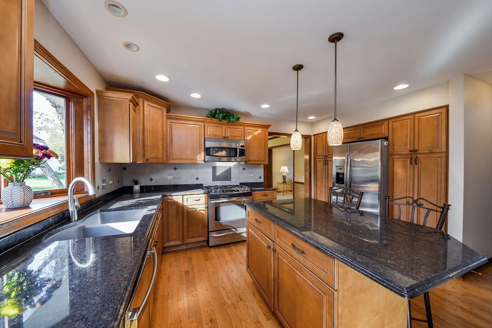 1824 Morgan Circle IL