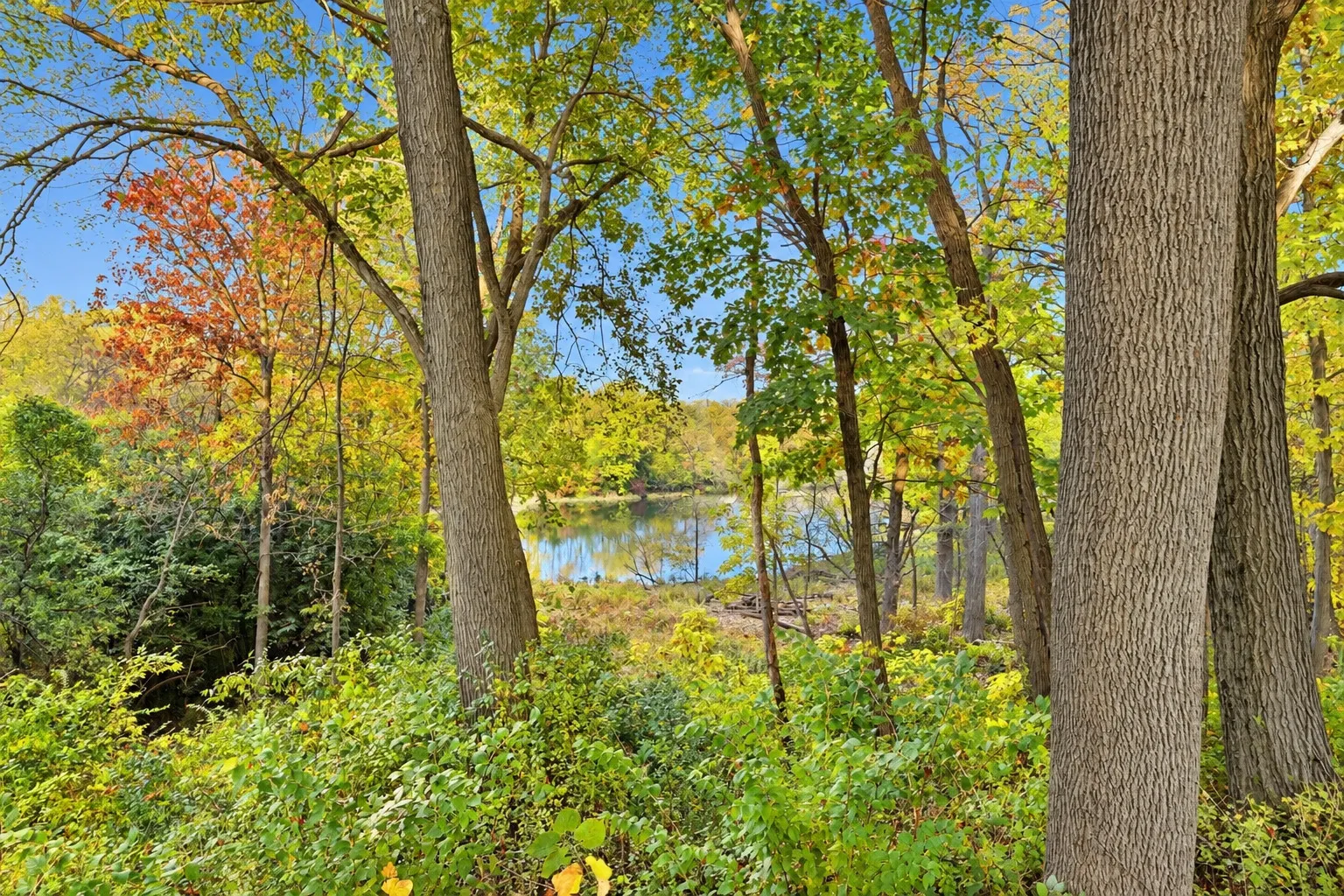 248 Aberdeen Drive IL