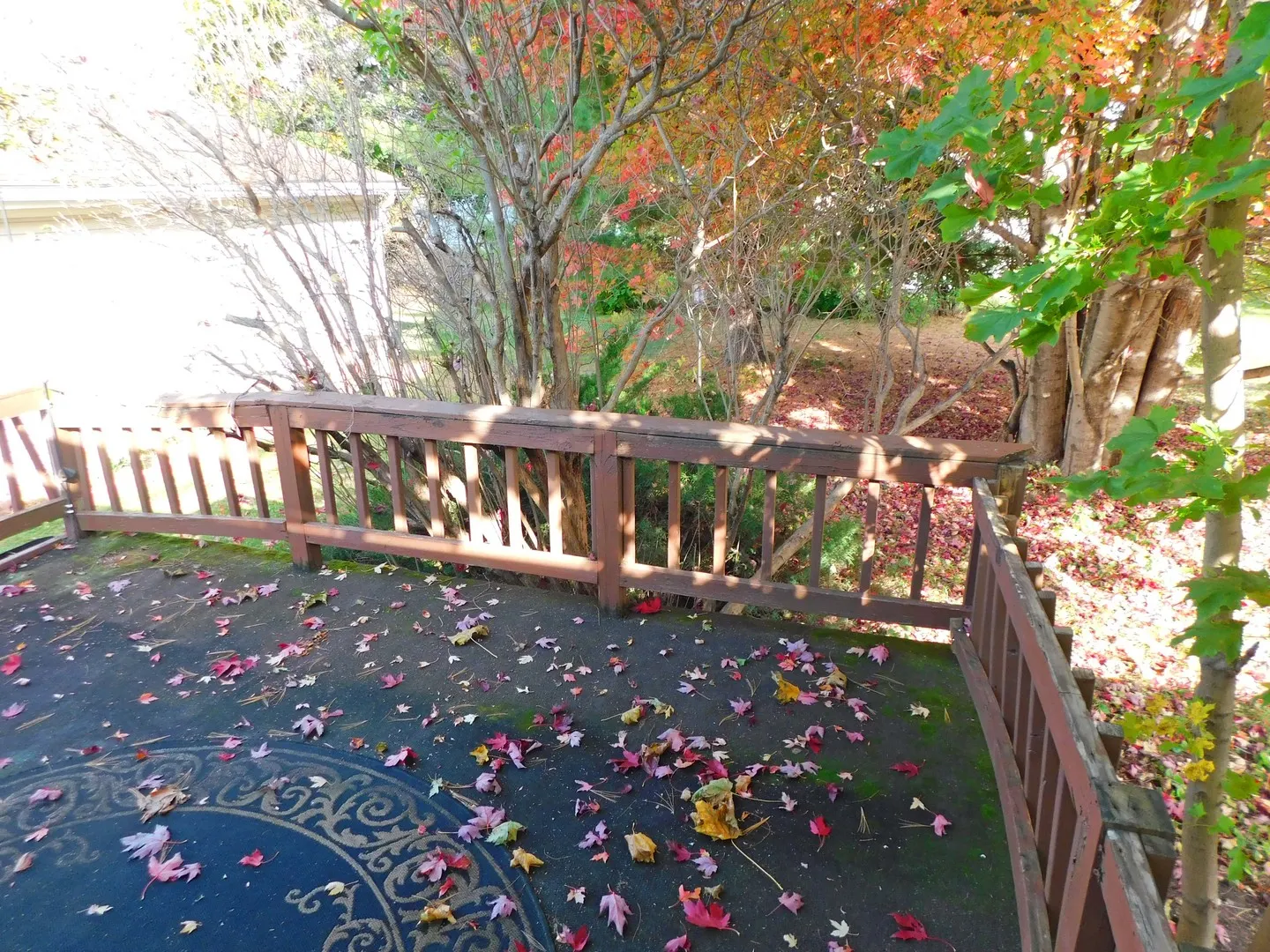 5464 Heartwood Lane IL