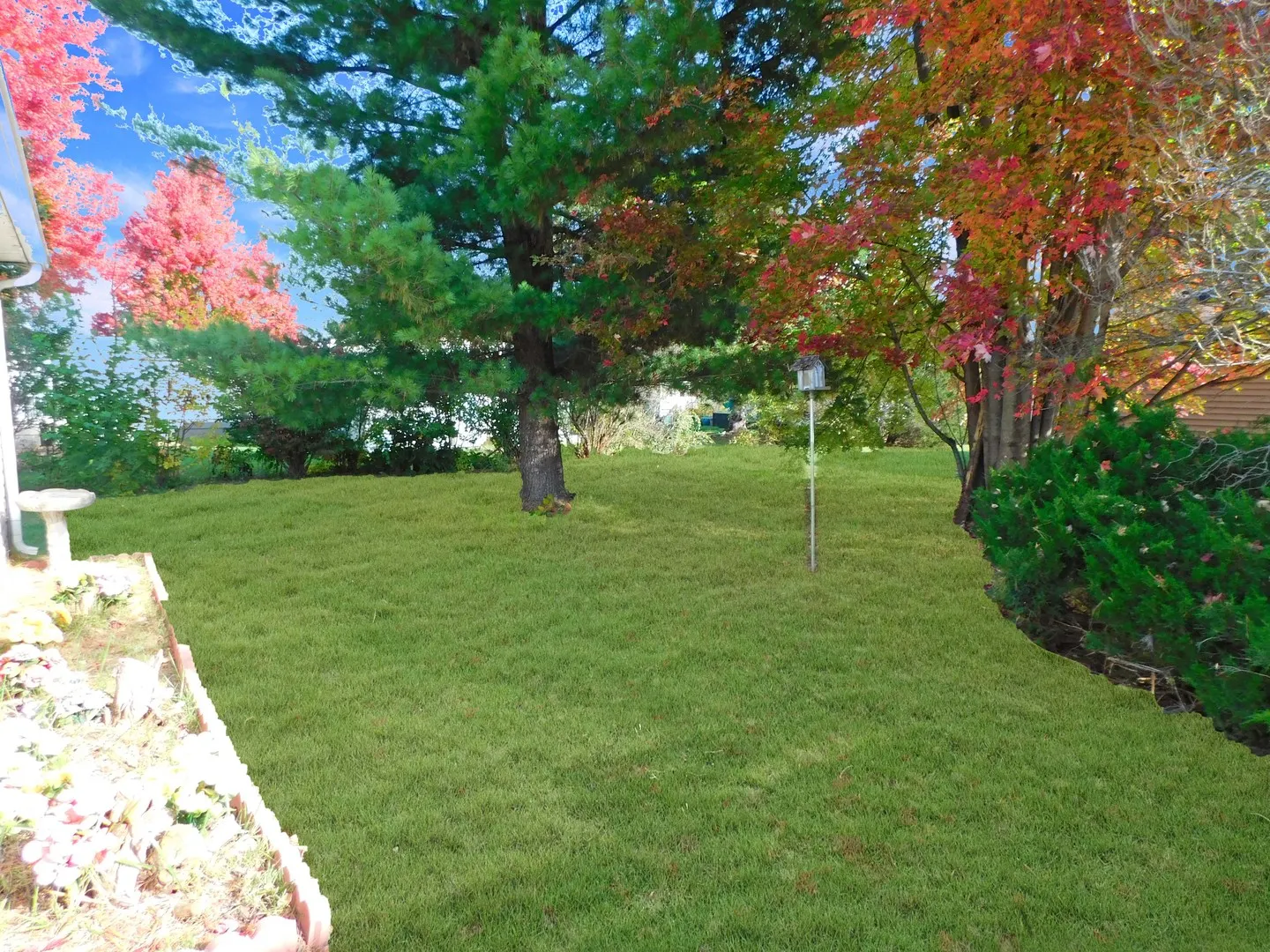 5464 Heartwood Lane IL