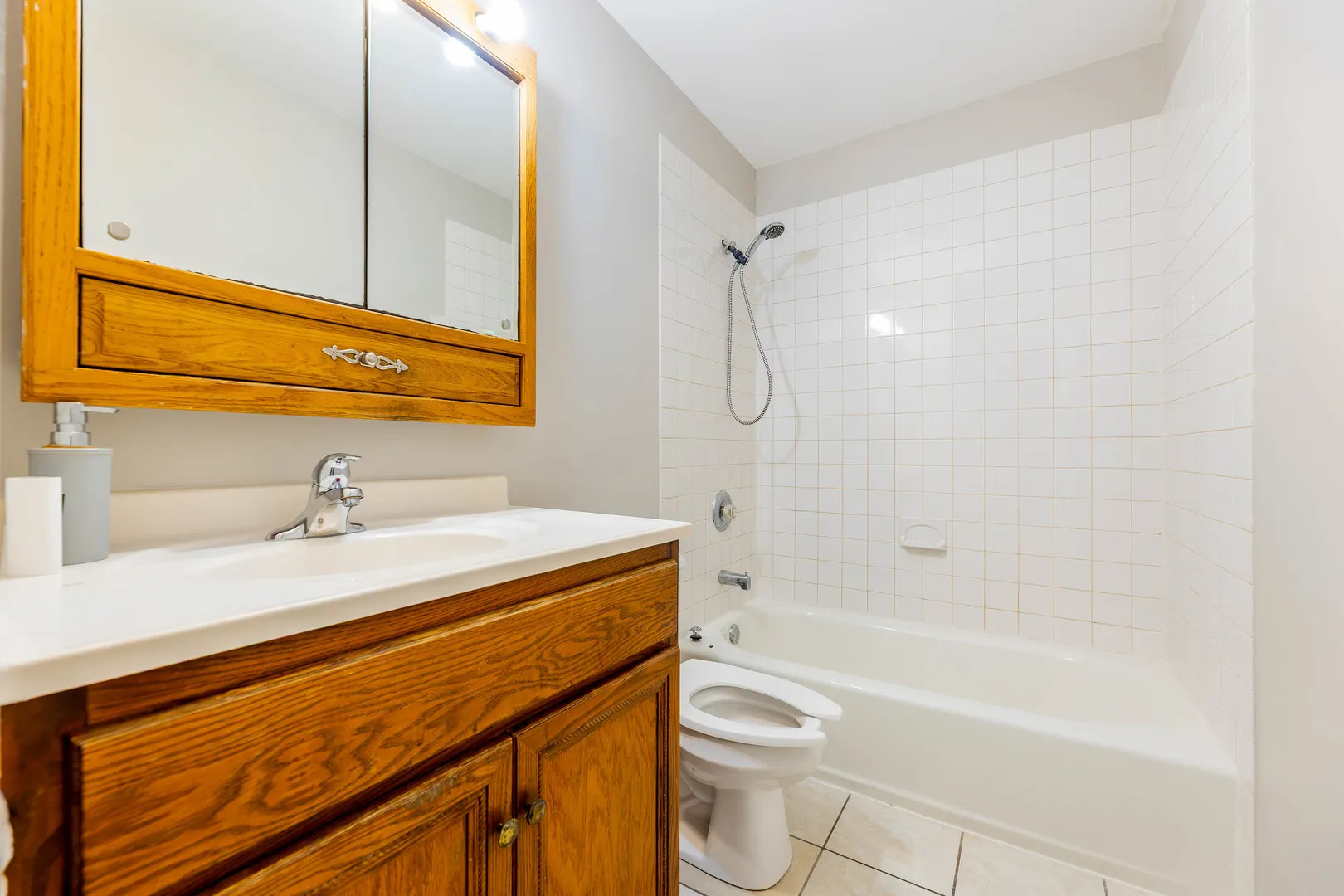 19 Povalish Court IL