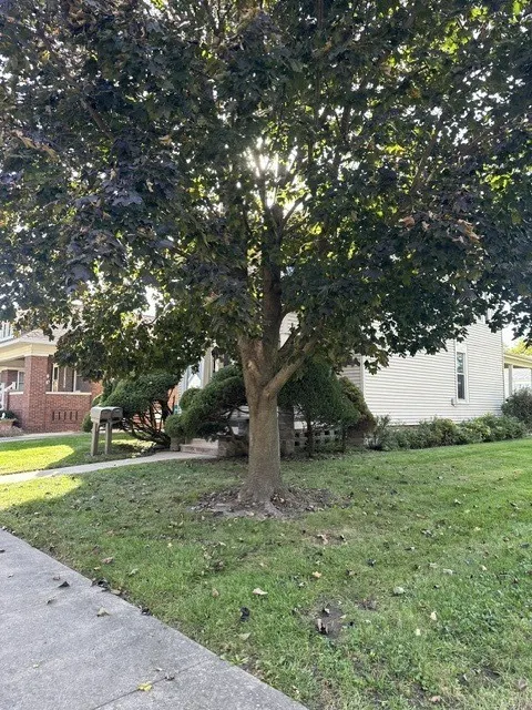 302 S Vermillion Street IL #1A
