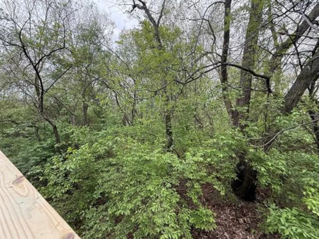 6280 White Buck Trail IL