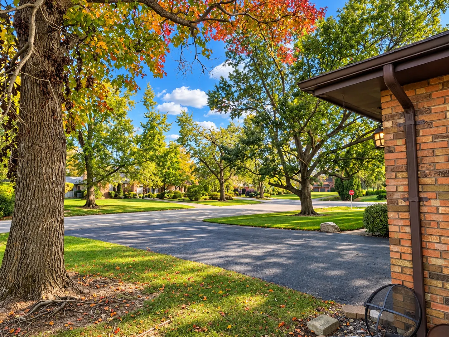 24732 S Mulberry Lane IL