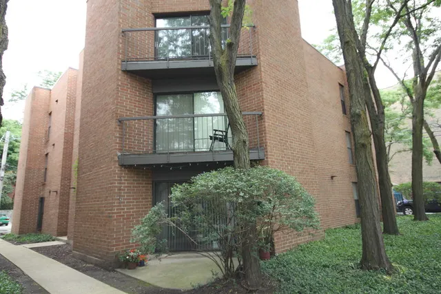 818 W Willow Street IL #3B