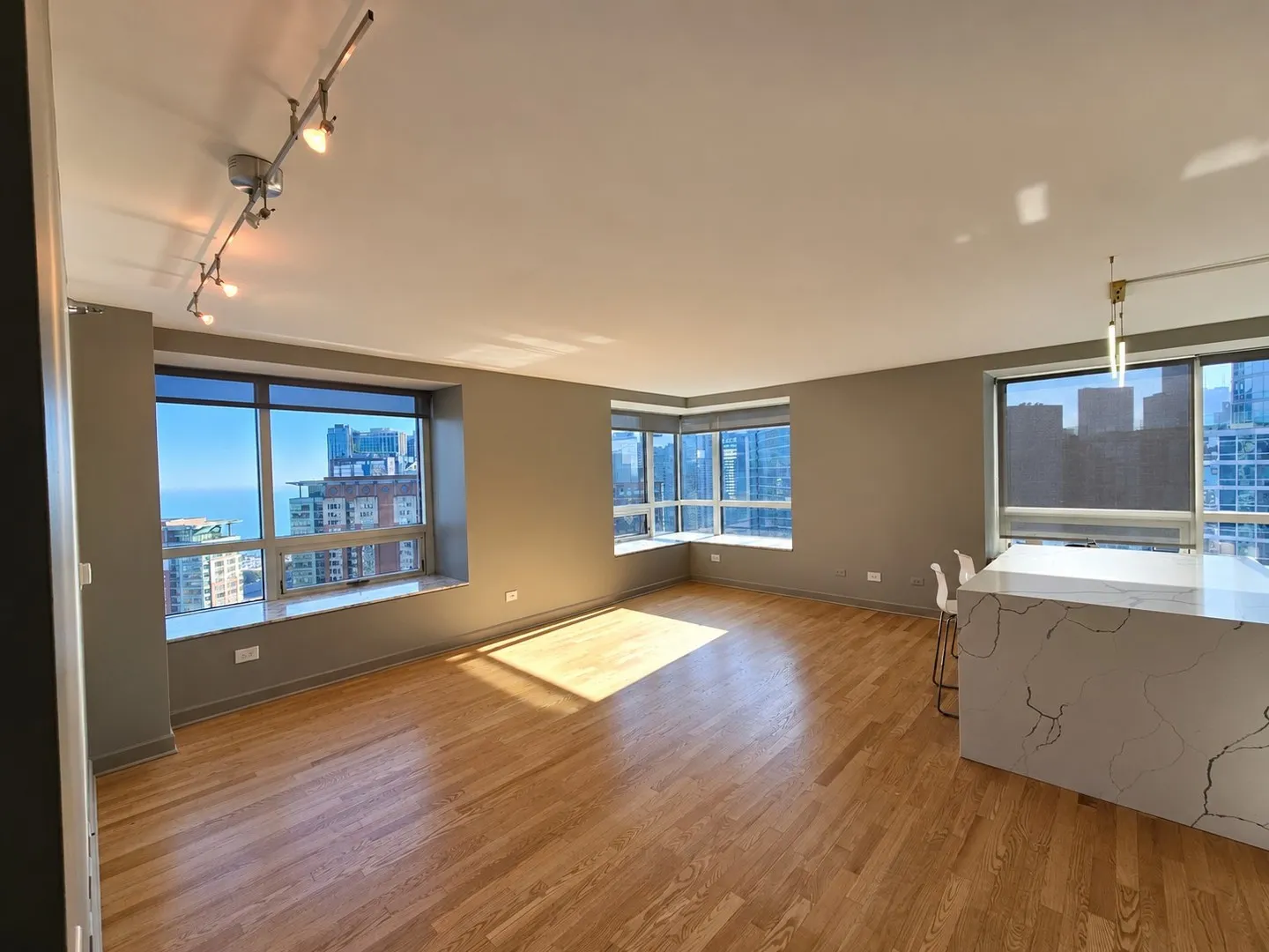 512 N McCLURG Court IL #3307