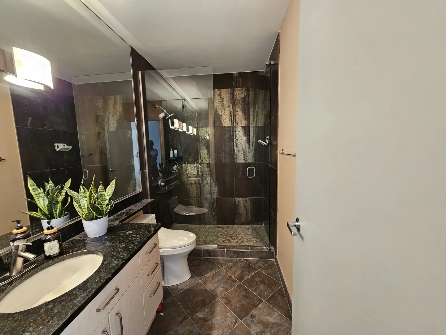 512 N McCLURG Court IL #3307