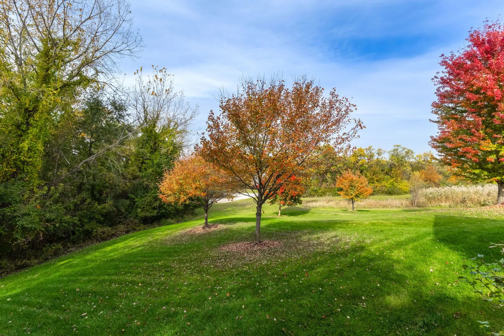 311 W 6th Avenue Court IL