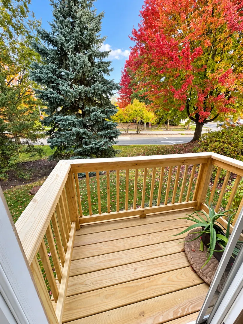 11 Monarch Drive IL