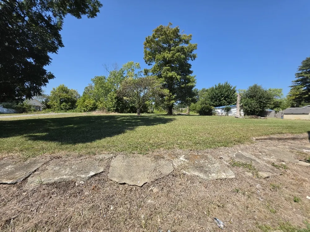 300-301 N CHESTNUT Street IL