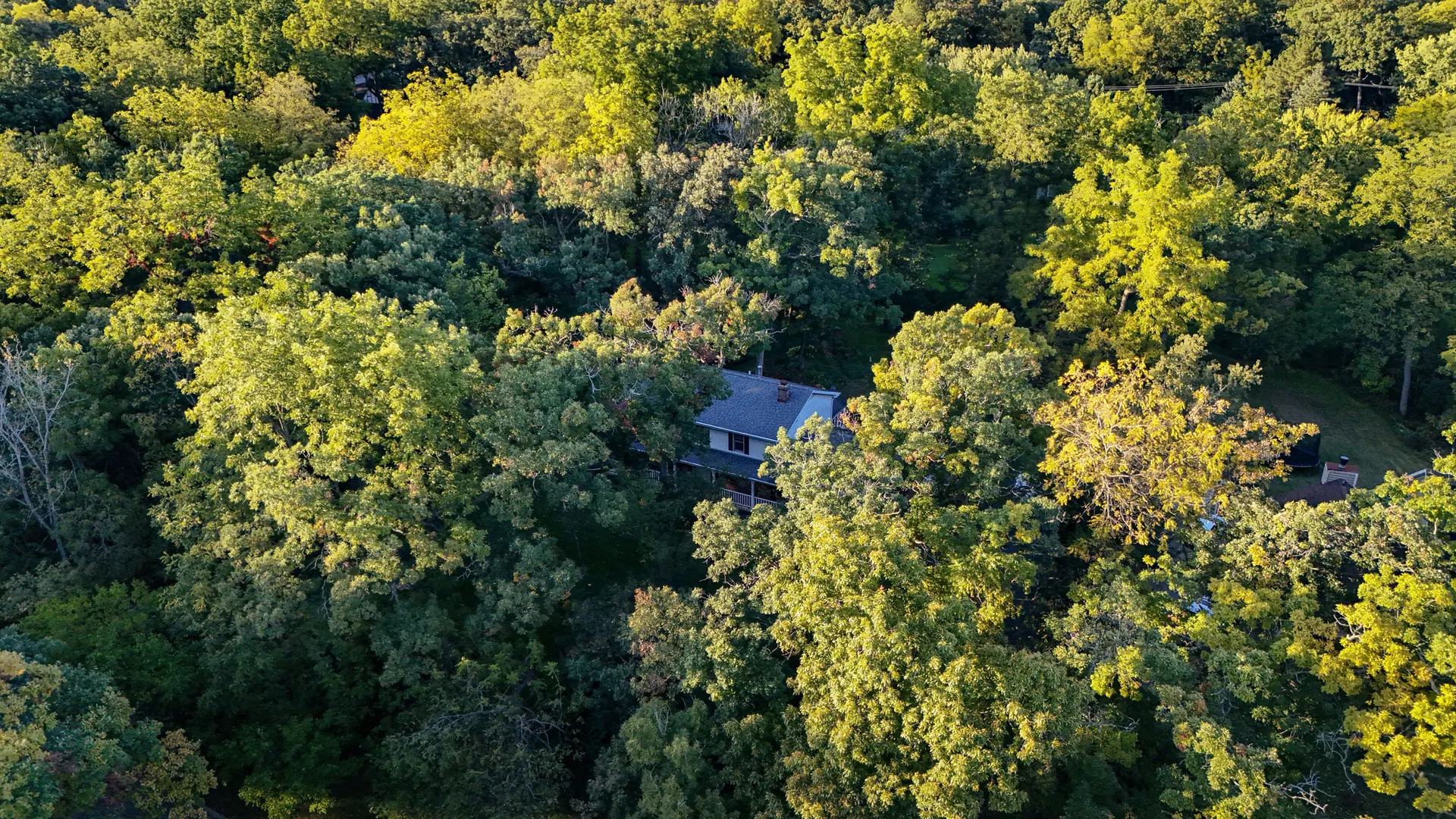 5808 Amherst Court IL