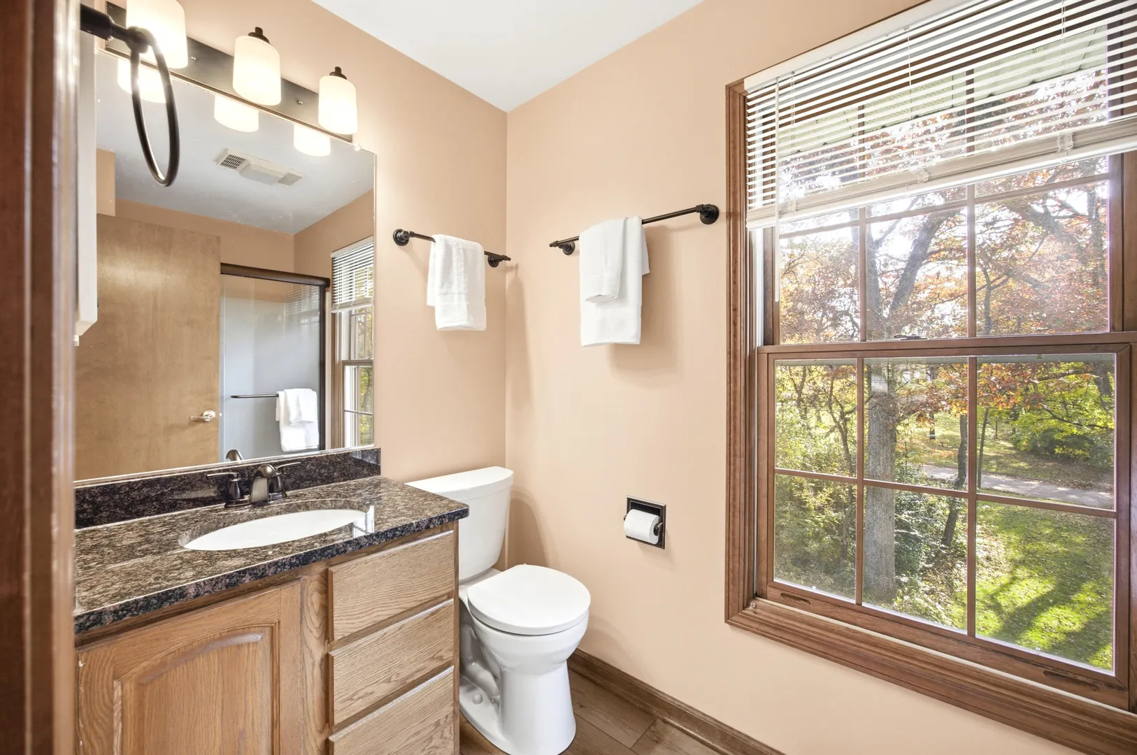5808 Amherst Court IL