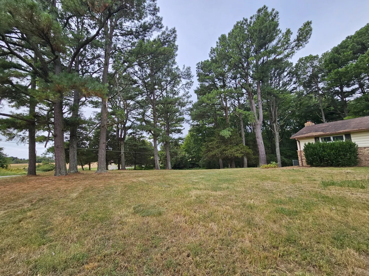 19346 Galatia Post Road IL